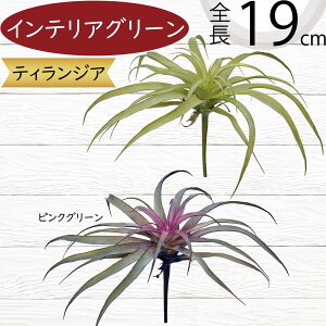 `WA eBWA GAvc LZOtBJ  lC A tFCNO[ CeAO[ ϗtA  lHϗtA IuWF CeA GA[vc A