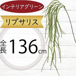 A vTX tFCNO[ ^  CeAO[ lC A A[gvc  A[gO[ lHϗtA lH ϗtA ԍ t t } Ce