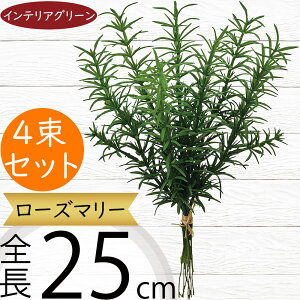 tFCNO[ [Y}[ n[u  lC CeAO[ A lHϗtA   A[gvc A[gO[ ϗtA ChAO[ CeA G Ƌ