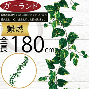 R K[h  lC  tFCNO[ CeAO[ lHϗtA  A[eBtBVt[ A fR[V fBXvC t ǖʑ V