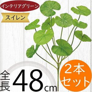 tFCNO[  lC CeAO[ A lHϗtA  lH A[gvc A[gO[ ϗtA ChAO[ CeA IuWF  ԍ t 