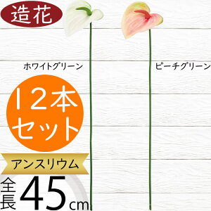 AXE   lC A[eBtBVt[ CeAO[ tFCNO[ A lHϗtA A[gt[ tAWg fBXvC  AX