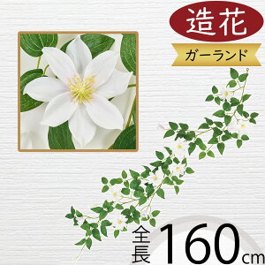 K[h N}`X  lC A  tFCNO[ CeAO[ lHϗtA A[eBtBVt[ fR[V fBXvC t ǖʑ G 