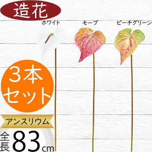 AXE   lC A[eBtBVt[ CeAO[ tFCNO[ A lHϗtA A[gt[ t[AWg fBXvC  ԍ