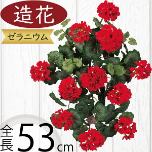 [jE [j[   tFCNO[ lC A CeAO[ lHϗtA ԍ t A[gt[ A[eBtBVt[ t[AWg f