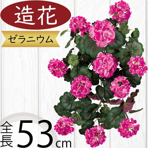 [jE [j[   tFCNO[ lC A CeAO[ lHϗtA ԍ t A[gt[ A[eBtBVt[ t[AWg f