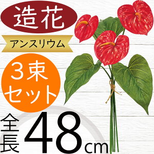 AXE   lC A[eBtBVt[ CeAO[ tFCNO[ A lHϗtA A[gt[ AWg fBXvC  ԍ u[P 