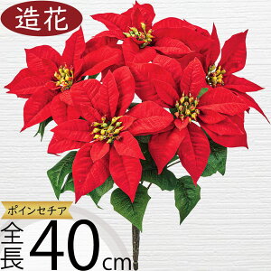 |CZ`A   lC A A[eBtBVt[ lHϗtA CeAO[ A[gt[ G tFCNO[ t[AWg fBXvC 