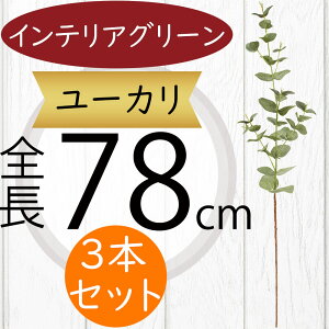 [J tFCNO[  CeAO[ lC A ϗtA  A[gvc lHϗtA A[gO[ lH [J̖ } } ԍ t t t