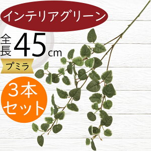 tFCNO[  lC CeAO[ A lHϗtA  lH A[gvc A[gO[ ϗtA ChAO[ CeA G Ƌ IuWF ԍ 