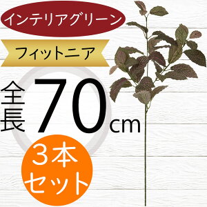 tFCNO[  lC CeAO[ A lHϗtA  lH A[gvc A[gO[ ϗtA ChAO[ CeA G IuWF ԍ t 