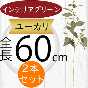 [J tFCNO[  CeAO[ lC A ϗtA  A[gvc lHϗtA A[gO[ lH [J̖ } } ԍ t t t