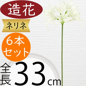 ފ݉ ll   lC A[eBtBVt[ A zCg  lHϗtA t[AWg fBXvC p CeA IuWF ԍ G A[gt