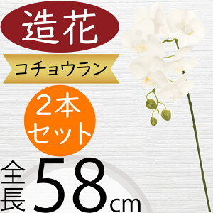 Ӓ  zCg   lC Mtg v[g t[AWg j JXj JƏj J@j ړ]j i A[eBtBVt[ R`E I[