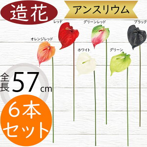 AXE   lC A[eBtBVt[ CeAO[ tFCNO[ A lHϗtA A[gt[ AWg fBXvC  ԍ zC