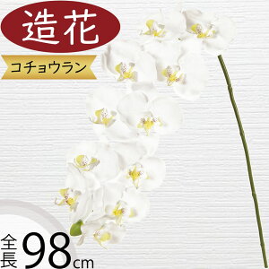 Ӓ  ^ zCg   lC Mtg v[g t[AWg j JX JƏj J@j ړ]j i A[eBtBVt[ R`E I[