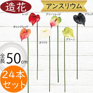 AXE   lC A[eBtBVt[ CeAO[ tFCNO[ A lHϗtA A[gt[ AWg fBXvC  ԍ zC