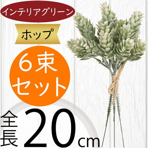 tFCNO[ zbv  lC CeAO[ A  lHϗtA ԍ t ϗtA A[gvc t[AWg fBXvC  G Ƌ } 