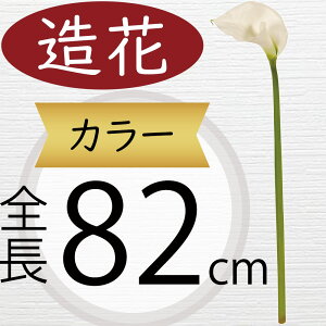  J[ ^  lC zCg  J[[ A tFCNO[ CeAO[ lHϗtA A[eBtBVt[ t[AWg { 