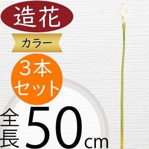  J[  lC zCg  J[[ A tFCNO[ CeAO[ lHϗtA A[eBtBVt[ t[AWg  { 