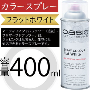 IAVX J[Xv[ tbgzCg 400ml  A[eBtBVt[  vU[uht[  bsO ԍ   lC fR[V t[AW