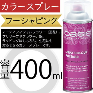 IAVX J[Xv[ t[VsN 400ml  A[eBtBVt[  vU[uht[  bsO ԍ   lC fR[V t[AW