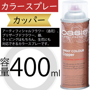 IAVX J[Xv[ Jbp[ 400ml  A[eBtBVt[  vU[uht[  bsO ԍ   lC fR[V t[AWg fB