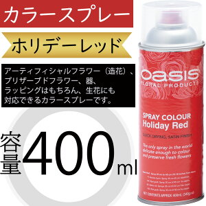 IAVX J[Xv[ zf[bh  400ml  A[eBtBVt[  vU[uht[  bsO ԍ   lC fR[V t[AW