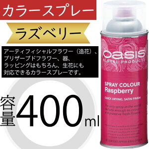IAVX J[Xv[ Yx[ 400ml  A[eBtBVt[  vU[uht[  bsO ԍ   lC fR[V t[AWg f