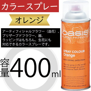 IAVX J[Xv[ IW 400ml  A[eBtBVt[  vU[uht[  bsO ԍ   lC fR[V t[AWg fB