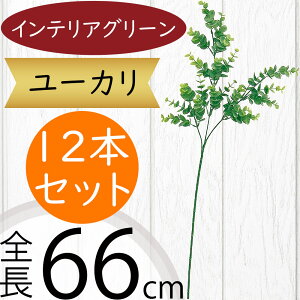 [J tFCNO[  CeAO[ lC A ϗtA  A[gvc lHϗtA A[gO[ lH [J̖ } } ԍ t t t