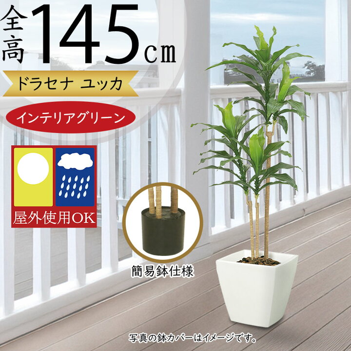 楽天市場】フェイクグリーン 屋外用 ドラセナ ユッカ 青年の木 幸福の 