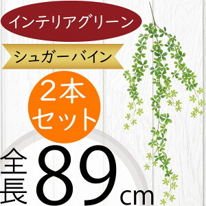 tFCNO[ ^  lC CeAO[ A lHϗtA  lH A[gvc A[gO[ t[AWg fBXvC IuWF  ԍ t