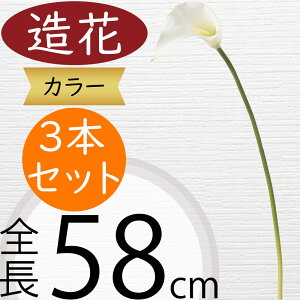  J[  lC zCg  J[[ A tFCNO[ CeAO[ ϗtA lHϗtA A[eBtBVt[ t[AWg {