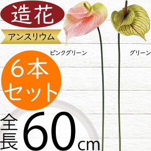 AXE   lC A[eBtBVt[ CeAO[ tFCNO[ A lHϗtA A[gt[ AWg fBXvC  ^ AX