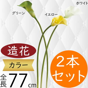 J[   lC J[[ A tFCNO[ CeAO[ lHϗtA A[eBtBVt[ t[AWg Mtg v[g CeA 