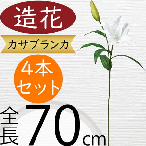 JTuJ   zCg  lC A[eBtBVt[ A lHϗtA Mtg v[g t[AWg tFCNO[ fBXvC  Ce