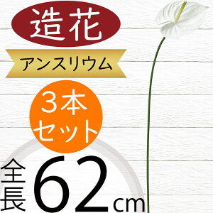 AXE   lC A[eBtBVt[ CeAO[ tFCNO[ A lHϗtA A[gt[ t[AWg fBXvC  ԍ