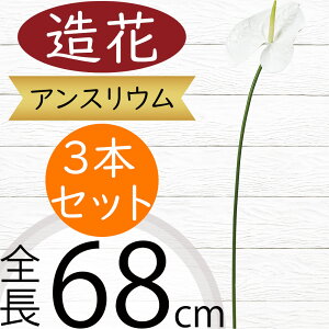 AXE   lC A[eBtBVt[ CeAO[ tFCNO[ A lHϗtA A[gt[ t[AWg fBXvC  ԍ