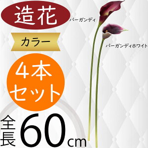 J[   lC J[[ A tFCNO[ CeAO[ lHϗtA A[eBtBVt[ t[AWg fBXvC  Mtg v