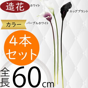 J[   lC J[[ A tFCNO[ CeAO[ lHϗtA A[eBtBVt[ t[AWg fBXvC  Mtg v