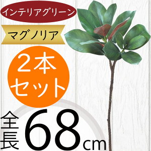 tFCNO[ }OmA  lC CeAO[ A  lHϗtA ԍ ϗtA A[gvc t[AWg fBXvC  G Ƌ } }