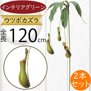 Ec{JY ^ HA tFCNO[  lC CeAO[ A  lHϗtA ԍ t ϗtA A[gvc t[AWg fBXvC  