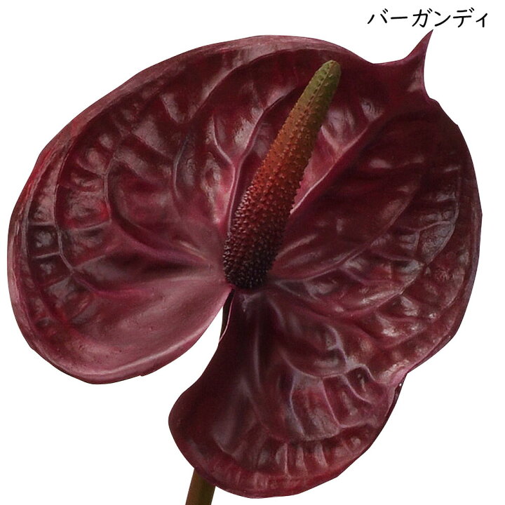 楽天市場】アンスリウム 造花 おしゃれ 人気 アーティフィシャル 