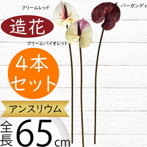 AXE   lC A[eBtBVt[ CeAO[ tFCNO[ A lHϗtA A[gt[ t[AWg fBXvC  ԍ