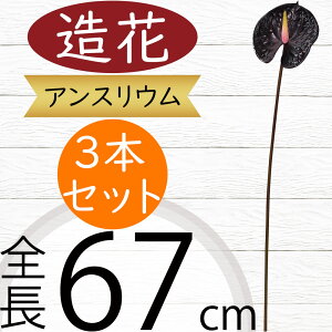 AXE   lC A[eBtBVt[ CeAO[ tFCNO[ A lHϗtA A[gt[ t[AWg fBXvC  ԍ