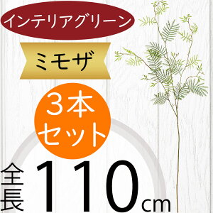 ~U tFCNO[ ^  lC CeAO[ A  lHϗtA ԍ ϗtA A[gvc t[AWg fBXvC  G Ƌ } }