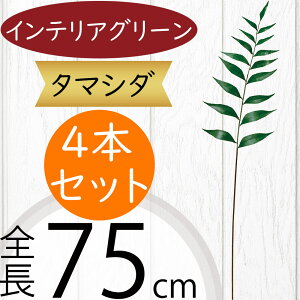 ^}V_ tFCNO[  CeAO[ A lHϗtA ϗtA  A[eBtBVt[ t t ԍ ʃV_ ltsX t[AWg 