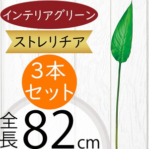 Xg`A Xg`A tFCNO[ ^  lC  A CeAO[ lHϗtA  lH ϗtA A[gO[ A[gvc CeA Iu