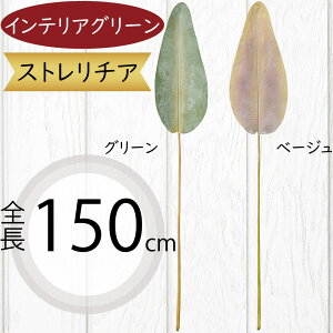 Xg`A Xg`A tFCNO[ ^  lC  A CeAO[ lHϗtA  lH ϗtA A[gO[ A[gvc CeA Iu